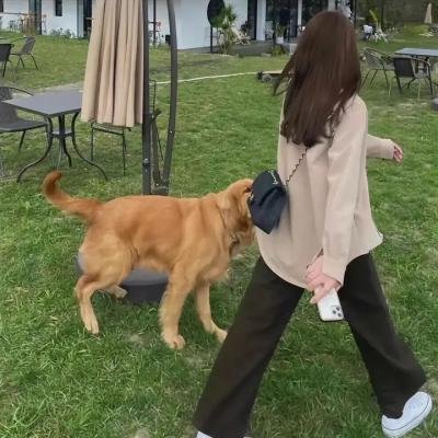 我的新拍档
